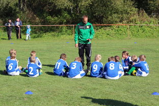 米兰体育报官网-中国篮球教练员战术创新能力培养研究，篮球教练员职业素养的三大核心